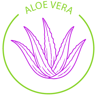 The Power of Aloe Vera Leaves in Skincare: Macali’s Gentle Secret to Calm, Hydrated Skin