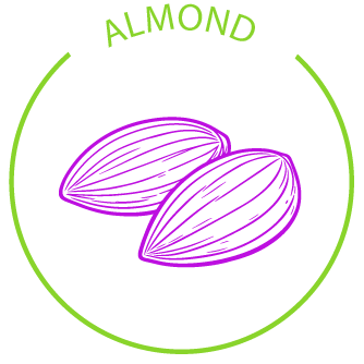 The Power of Almond in Skincare: Macali’s Natural Secret for Soft, Radiant Skin